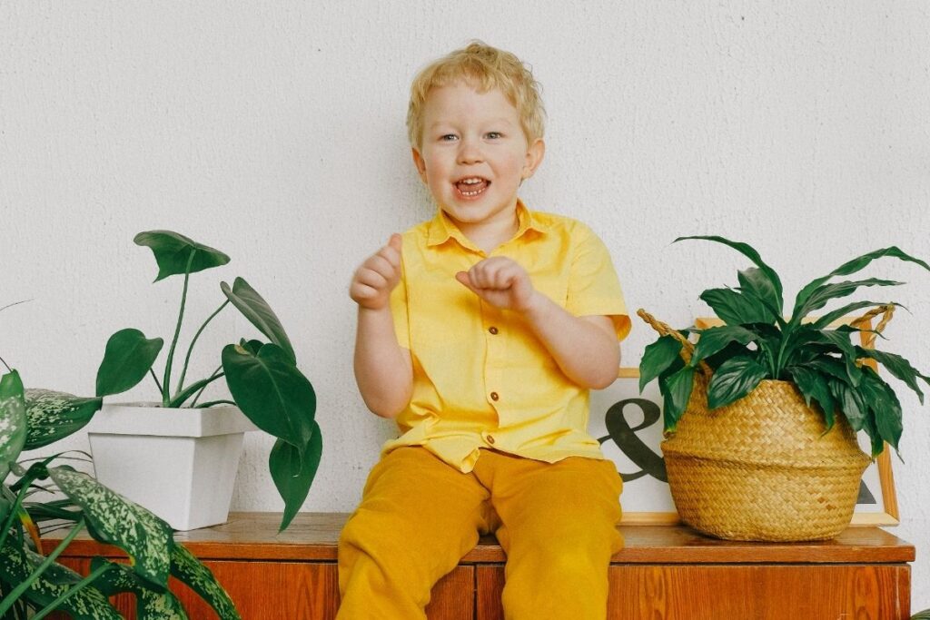 Saugios kambarinės gėlės