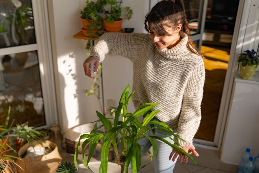 Augalai mūsų gyvenime