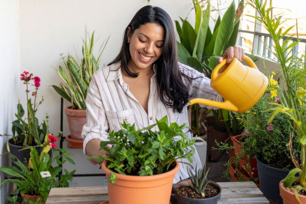 Keletas patarimų pradedančiajam gėlininkui