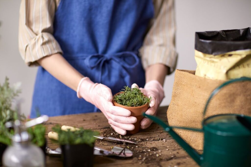 Keletas patarimų pradedančiajam gėlininkui
