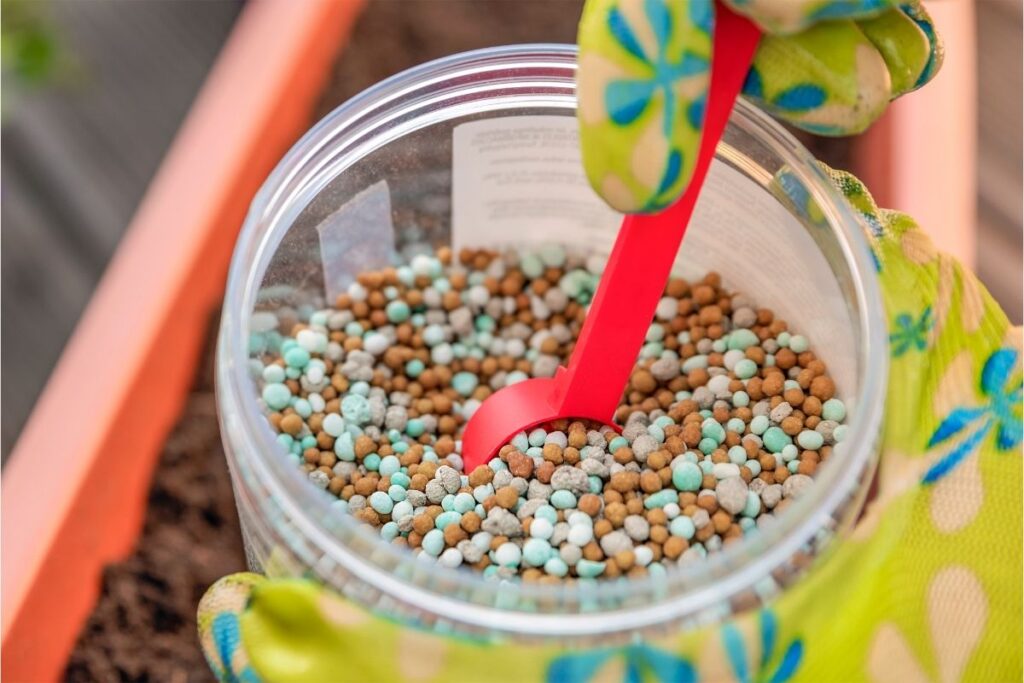 Kambarinių augalų tręšimas