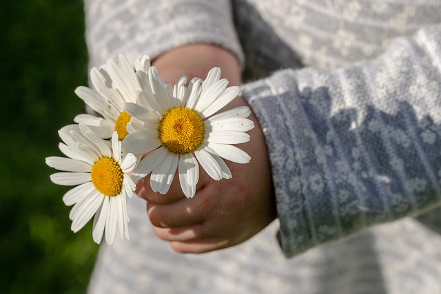 Kaip gėlės padeda vaikams lavinti pažinimo ir mokymosi įgūdžius