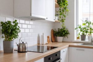 Kambariniai augalai virtuvėje kokius rinktis ir kodėl